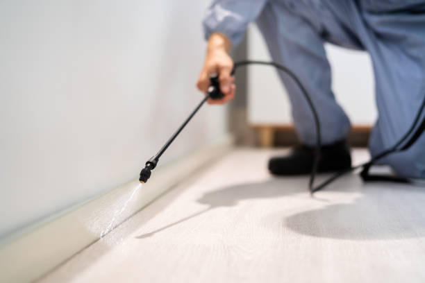Bed Bug Pre-Treatment Preparation Assessment in Whitewright