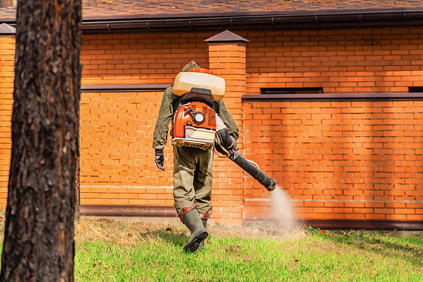 Bed Bug Clearance Verification and Documentation in Whitewright